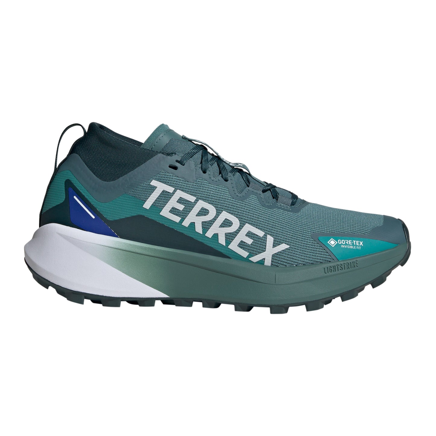 adidas Terrex Agravic GTX Obuv pro měkčí povrch,žádný asfalt Muži - tmavě zelená, bílá