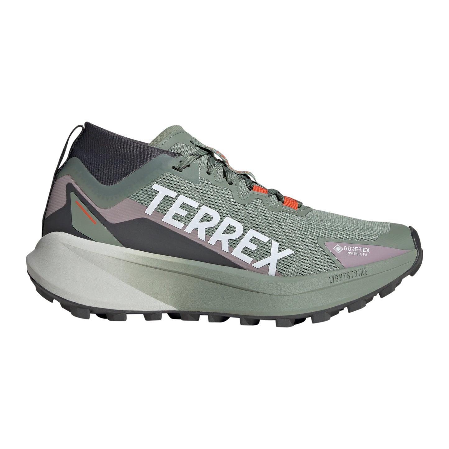 adidas Terrex Agravic GTX Obuv pro měkčí povrch,žádný asfalt Dámy - šedá