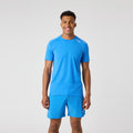 kobaltově modrá_kobaltblau