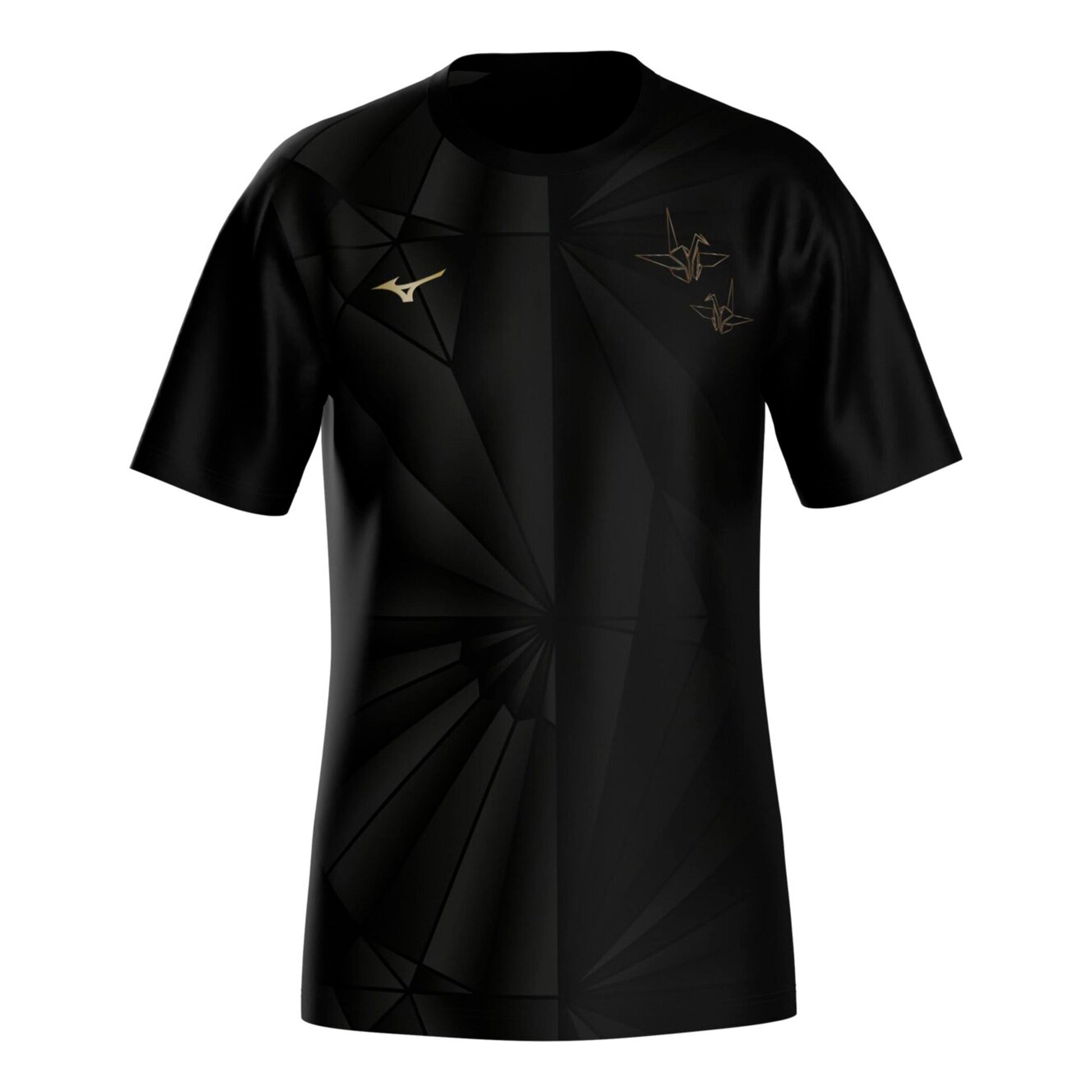 Mizuno Active DryAeroFlow Graphic  Běžecké tričko Muži - černá, zlatá