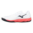 Mizuno