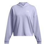 Oblečení Under Armour Trival Terry OS Hoody