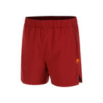 Oblečení Fila Shorts Zayn