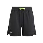 Oblečení adidas Pro Shorts