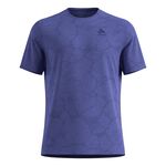 Oblečení Odlo Zeroweight Engineered Chill-Tec Crew Neck