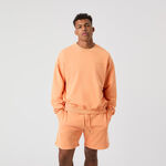 Björn Borg Oblečení Björn Borg Borg Oversized Washed Mikina Muži-Oranžová