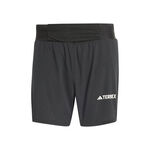 Oblečení adidas Terrex Pro Short