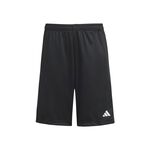 Oblečení adidas Training Essentials Short