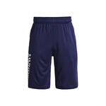 Oblečení Under Armour Prototype 2.0 Wdmk Shorts