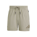 Oblečení adidas Z.N.E. Woven Shorts