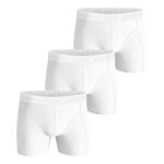 Oblečení Björn Borg Cotton Stretch Boxer 3P