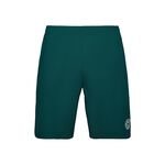 Oblečení BIDI BADU Henry 2.0 Tech Shorts Men