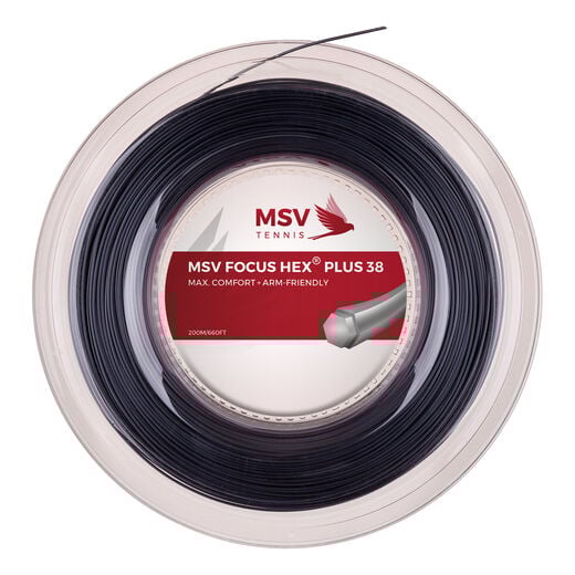 MSV