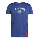 Oblečení adidas Designed for Training Intense Tee
