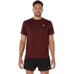 Oblečení ASICS Core Shortsleeve