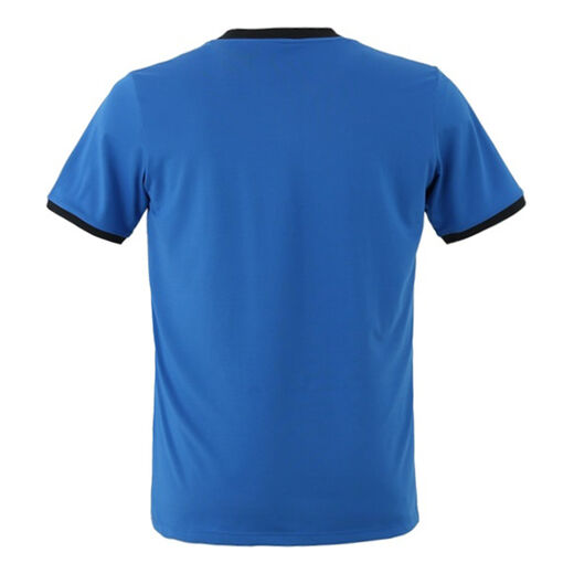 The Indian Maharadja