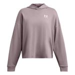 Oblečení Under Armour Trival Terry OS Hoody