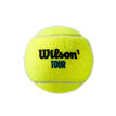 Wilson