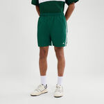 Ellesse Oblečení Ellesse Dremonte Šortky Muži - tmavě zelená, bílá