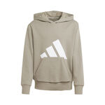 Oblečení adidas Essentials Hoody