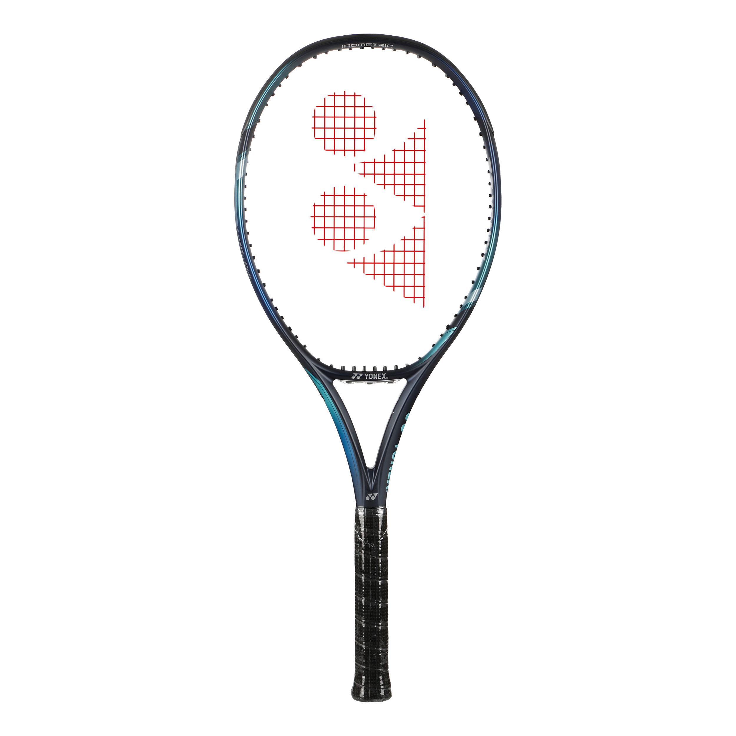 EZONE 100 (300g)