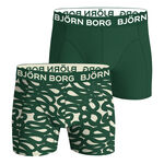 Oblečení Björn Borg Cotton Stretch Boxer 2P