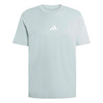 adidas Oblečení adidas Essentials Tričko Muži-šalvěj