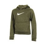 Oblečení Nike TF Hoody
