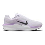 Běžecká Obuv Nike Winflo 11