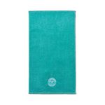 Ručníky Christy Embroidered Guest Towel - Aqua