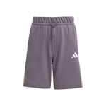 Oblečení adidas Essentials Colorblock Shorts