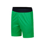 Oblečení Lacoste Short