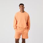 Oblečení Björn Borg Borg Oversized Washed Sweatshirt