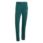 Oblečení adidas Terrex Xperior Light Pant