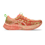 Běžecká Obuv ASICS Noosa Tri 16