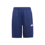 Oblečení adidas Training Essentials 3 Stripes Shorts