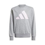 Oblečení adidas Essentials Sweatshirt