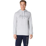 Oblečení ASICS Logo OTH Hoody