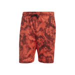 Oblečení adidas PARIS 2N1 SHORT