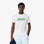 Oblečení Lacoste T-Shirt