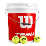 Tenisové Míče Wilson Team W Trainer 72 Tennisbälle im Eimer