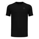 Oblečení Odlo Merino 160 Baselayer Crew Tee