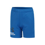 Oblečení Under Armour Tech Logo Shorts Boys