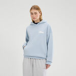 Oblečení Ellesse Il Tiro Hoody