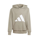 adidas Oblečení adidas Essentials Hoody Děti-Béžová,Bílá