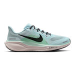 Běžecká Obuv Nike Pegasus 41