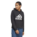 Oblečení adidas Big Logo Hoody