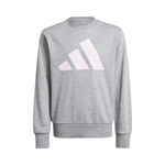 adidas Oblečení adidas Essentials Mikina Děti-Šedá,Bílá