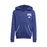 Oblečení adidas J CLGT FT FZ