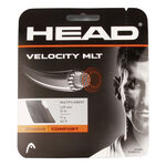 HEAD HEAD Velocity MLT Výpletová Sada 12m-Černá